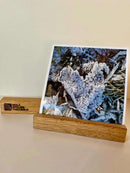 Fotoleiste aus Eiche - Holzatelier TheobaldHolzatelier Theobald115